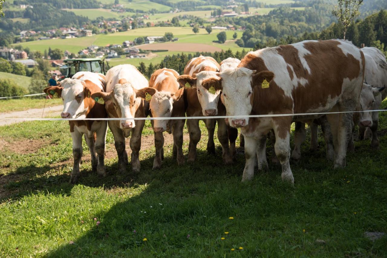 Ferienhaus Reisinger Promschhof Semriach Bagian luar foto