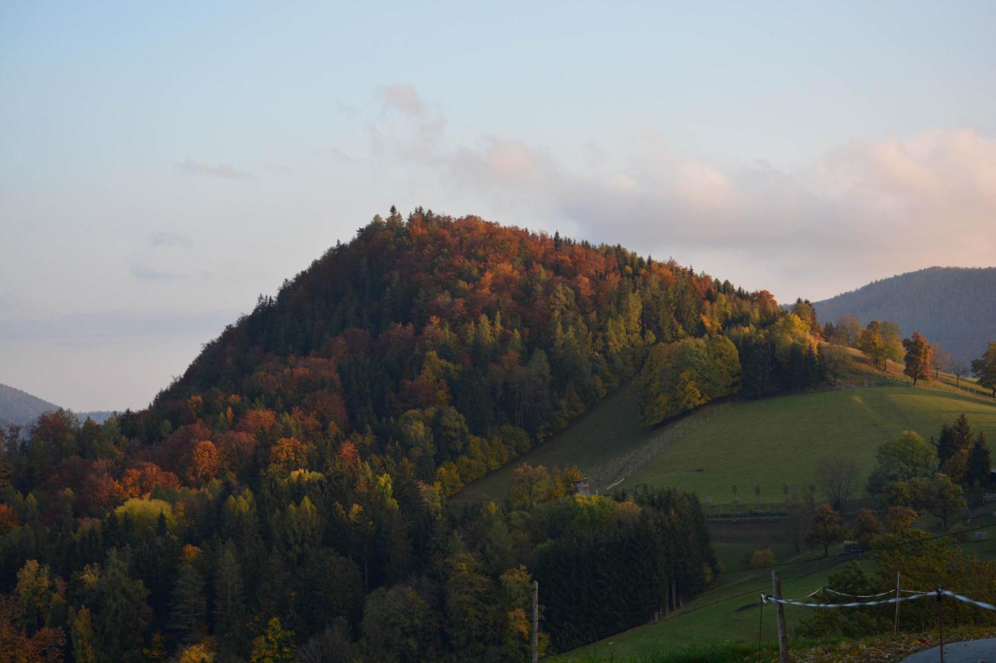 Ferienhaus Reisinger Promschhof Semriach Bagian luar foto